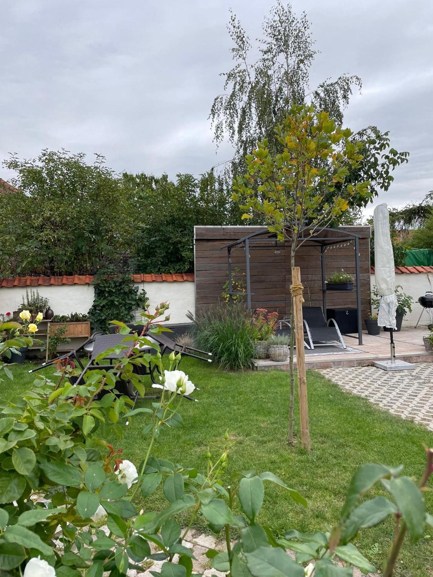 Gemuetliche Ferienwohnung Wernigerode Exteriör bild